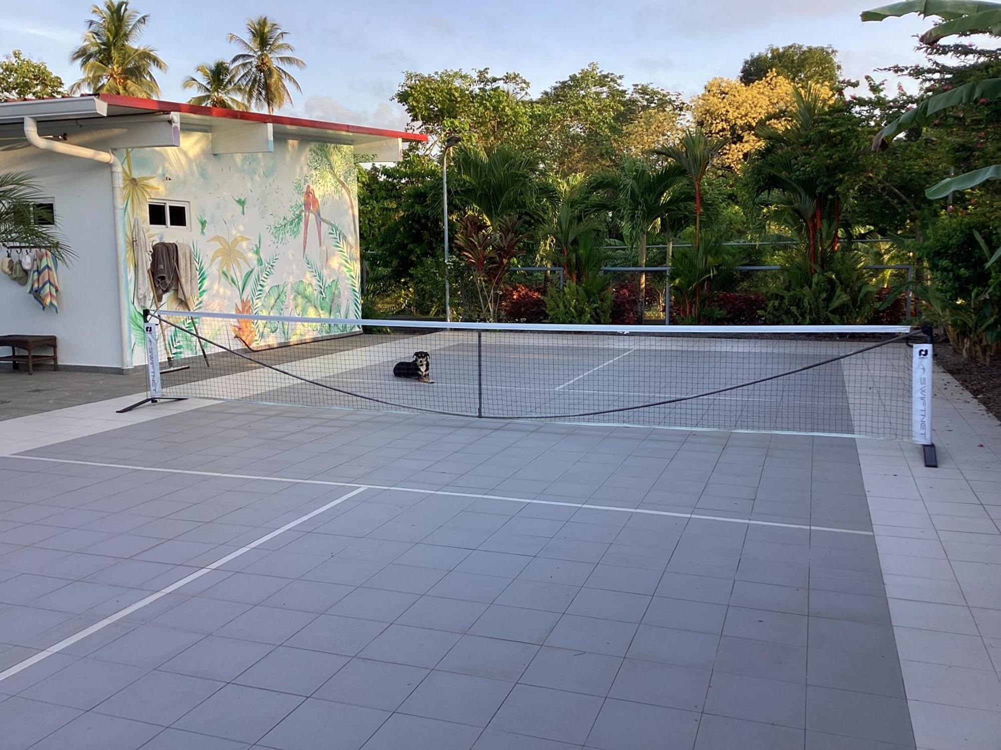 Отель Casa De Pickleball Ла-Плайя Экстерьер фото